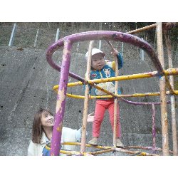 1��16���@����ۂہ@���{���̓�_14