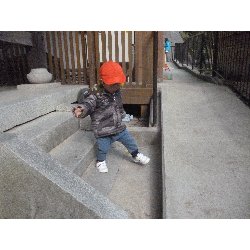 1��16���@����ۂہ@���{���̓�_17