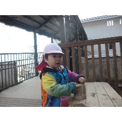 1��16���@����ۂہ@���{���̓�_22