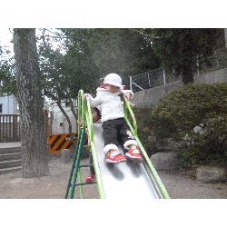 1��16���@����ۂہ@���{���̓�_25