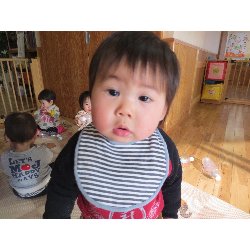 1��17���@�����@���{���̓�_8