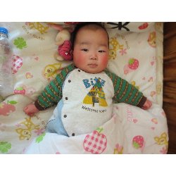 1��17���@�����@���{���̓�_12