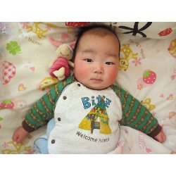 1��17���@�����@���{���̓�_13