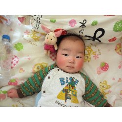 1��17���@�����@���{���̓�_14