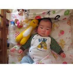 1��17���@�����@���{���̓�_15