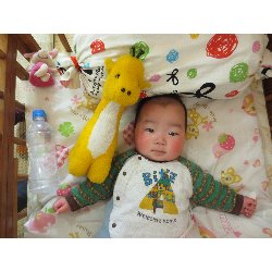 1��17���@�����@���{���̓�_16