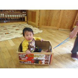 1��17���@�����@���{���̓�_24