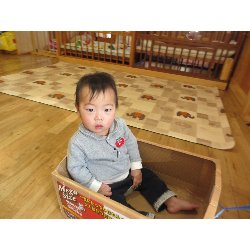 1��17���@�����@���{���̓�_26