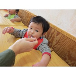 1��17���@�����@���{���̓�_34