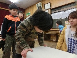 1��22���@�Ђ܂��@�̈狳��_38