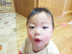 1��22���@�����@�X�^���v�V��_16