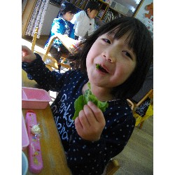 1��24���@�Ђ܂��@�Ȃ��悵���H_12