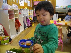 1��24���@�����@�Ȃ��悵���H_2