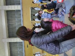 1��25���@�Ђ܂��@���ʂꉓ���@_3