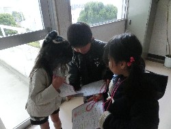 1��25���@�Ђ܂��@���ʂꉓ���A_1