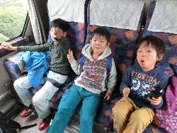 1��25���@�Ђ܂��@���ʂꉓ���C_21