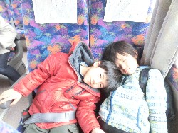 1��25���@�Ђ܂��@���ʂꉓ���C_27