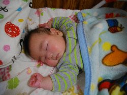 1��28���@�����@�V�����œ����_31