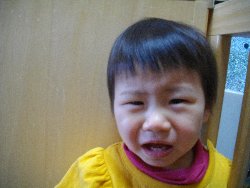 1��28���@�����@�V�����œ����_33