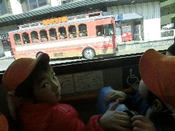 1��29���@�Ђ܂��@�ɂ��݉��K��_3