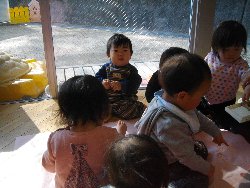 1��29���@�����@�N�������V��_11