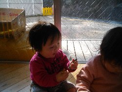 1��29���@�����@�N�������V��_31