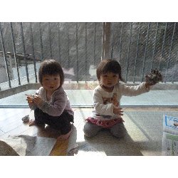 1��29���@����ۂہ@���܂�������_5