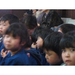 2��3���@�Ђ܂��@�ߕ��@�v_10