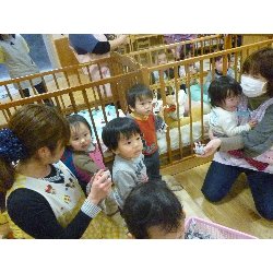 2��3���@�S�N���X�@���܂��I�I_22