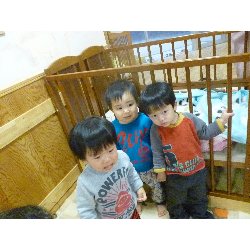 2��3���@�S�N���X�@���܂��I�I_24