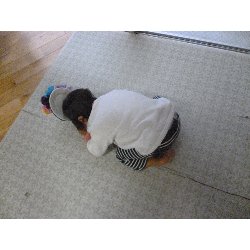 2��3���@�S�N���X�@���܂��I�I_37