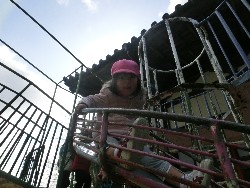 2��5���@�쐼��񂰁@�ˊO������_1