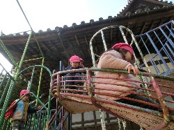 2��5���@�쐼��񂰁@�ˊO������_5