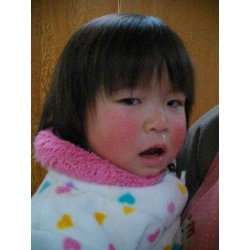 2��7���@������@���{���̓�_22