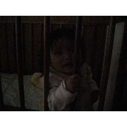 2��14���@�����@���ׂ��V��_52