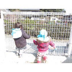 2��20���@������@����̗l�q_29