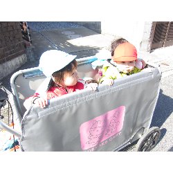 2��21���@������@�������_11