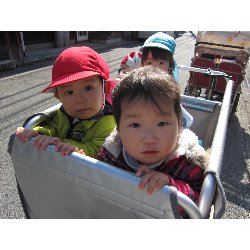 2��21���@������@�������_12