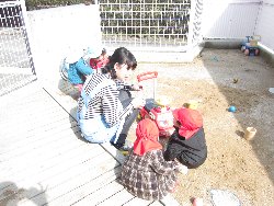 2��28���@������@���{���̓�_13