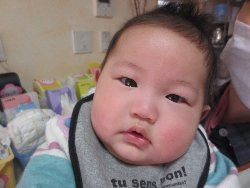 3��3���@�����@�ЂȂ܂�L�O�ʐ^_13