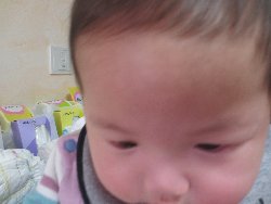 3��3���@�����@�ЂȂ܂�L�O�ʐ^_15