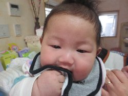 3��3���@�����@�ЂȂ܂�L�O�ʐ^_17