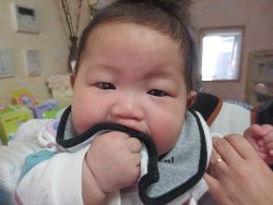 3��3���@�����@�ЂȂ܂�L�O�ʐ^_18