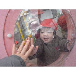 3��6���@����ۂہ@���{���̓�_21