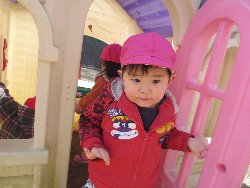 3��11���@��񂰁@�����݂̐X_20