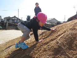 3��11���@��񂰁@�����݂̐X_29