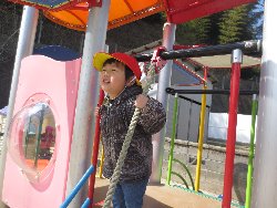 3��11���@��񂰁@�����݂̐X_41