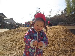 3��11���@��񂰁@�����݂̐X_45