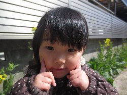 3��11���@��񂰁@�����݂̐X_51