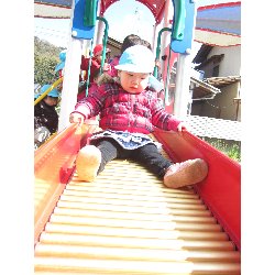 3��12���@������@�����݂̐X_5